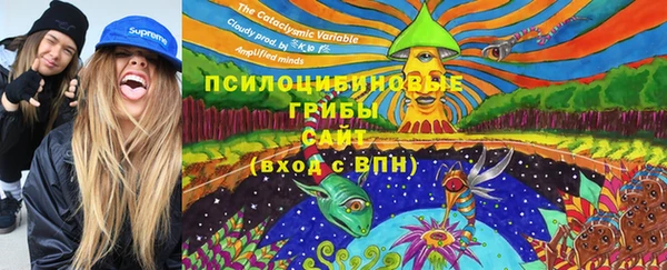 гашик Абаза