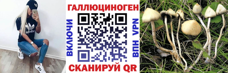 Псилоцибиновые грибы Psilocybine cubensis Кумертау